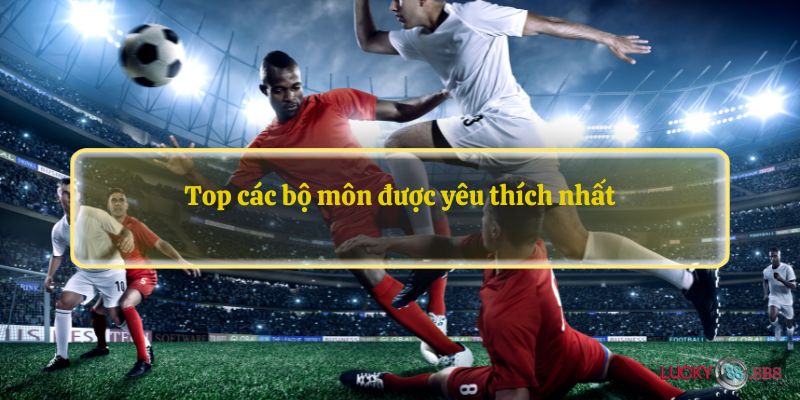 Top các bộ môn được yêu thích nhất