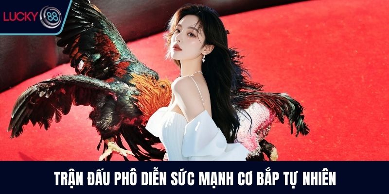 Trận đấu phô diễn sức mạnh cơ bắp tự nhiên